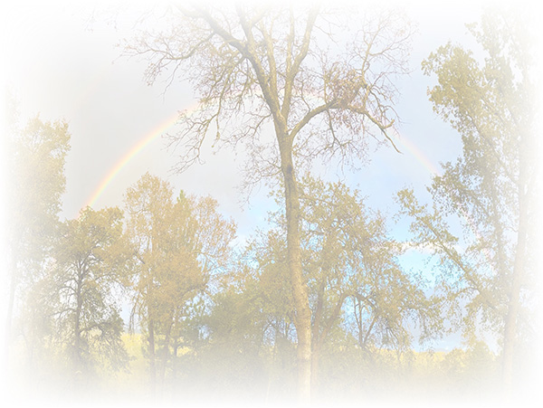 Law of Attraction Card - Image 3