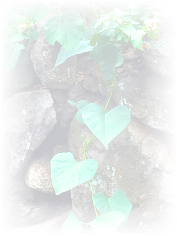 Law of Attraction Card - Image 3