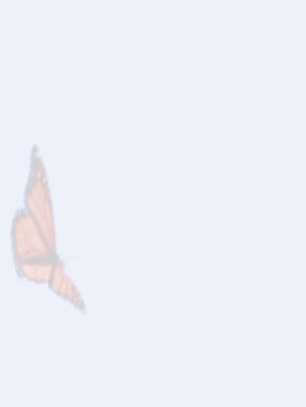 Law of Attraction Card - Image 3