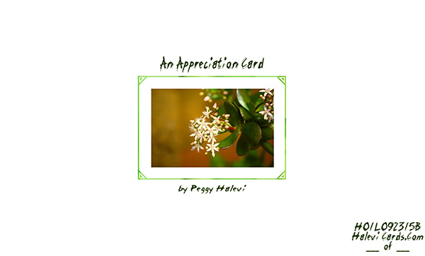 Law of Attraction Card - Image 2