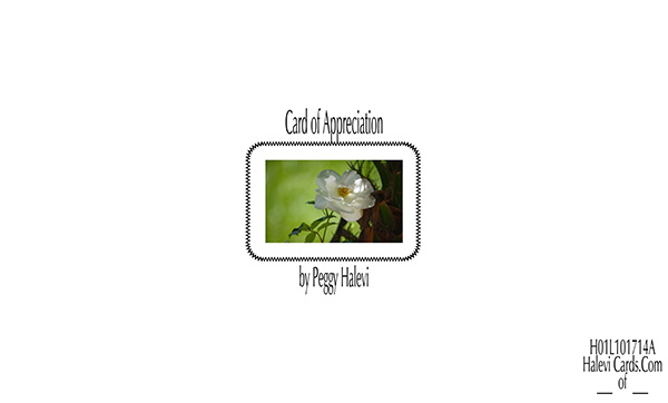 Law of Attraction Card - Image 2