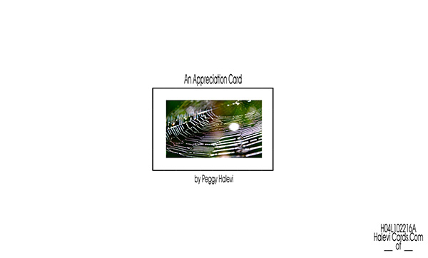 Law of Attraction Card - Image 2