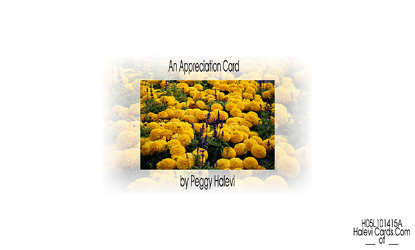 Law of Attraction Card - Image 2