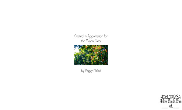 Law of Attraction Card - Image 2