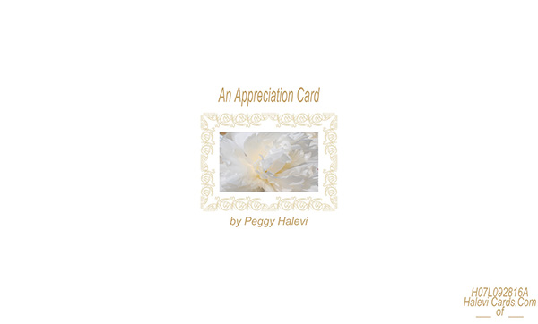 Law of Attraction Card - Image 2