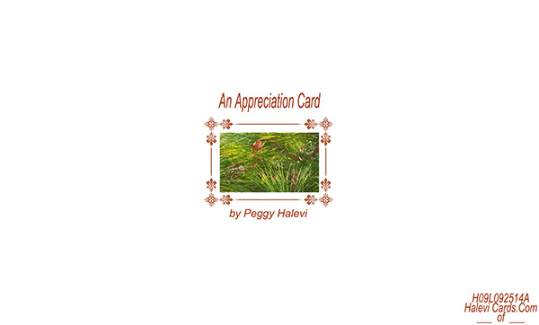 Law of Attraction Card - Image 2