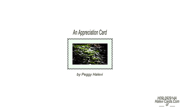Law of Attraction Card - Image 2