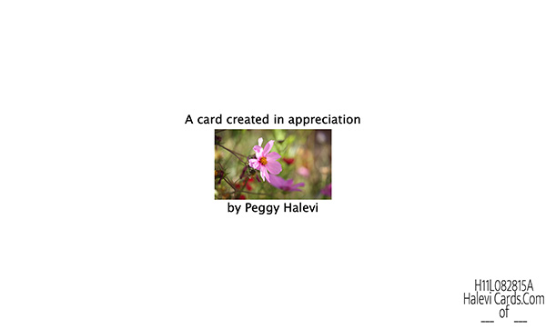 Law of Attraction Card - Image 2