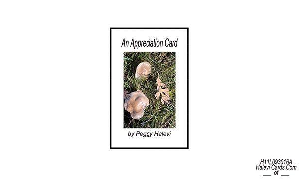 Law of Attraction Card - Image 2