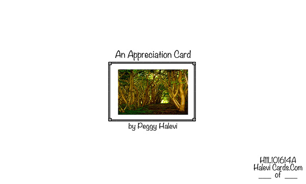 Law of Attraction Card - Image 2
