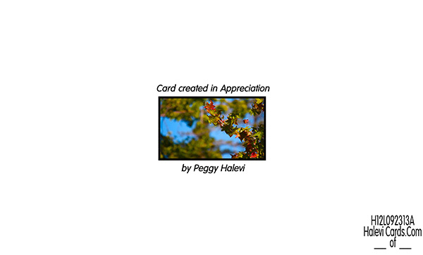 Law of Attraction Card - Image 2