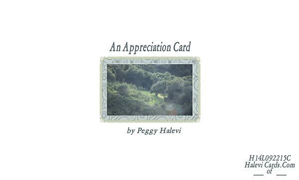 Law of Attraction Card - Image 2