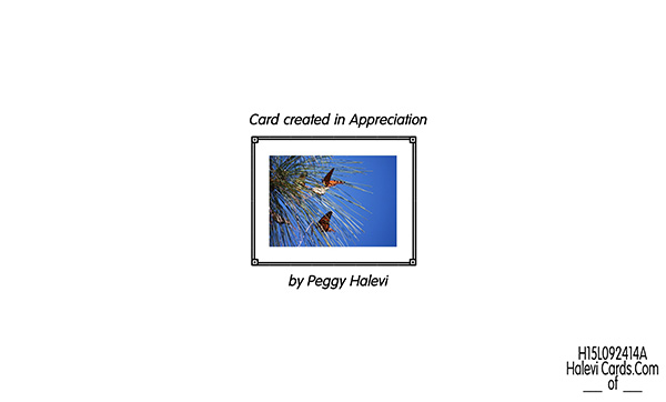 Law of Attraction Card - Image 2