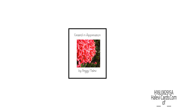 Law of Attraction Card - Image 2