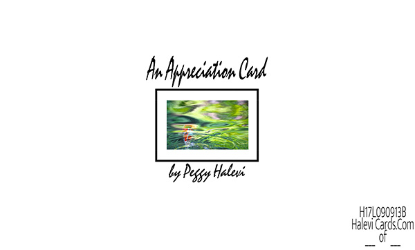Law of Attraction Card - Image 2