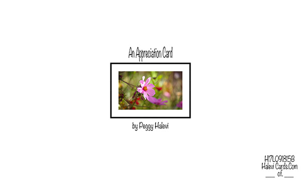Law of Attraction Card - Image 2