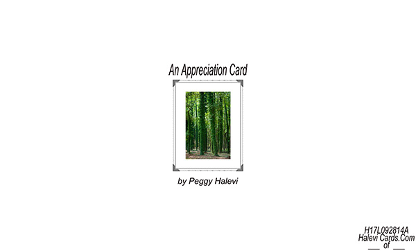 Law of Attraction Card - Image 2