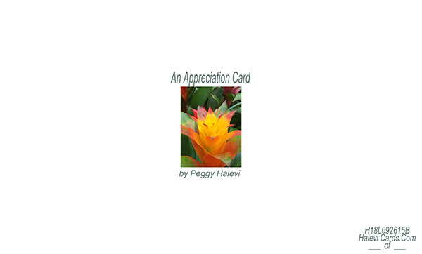 Law of Attraction Card - Image 2