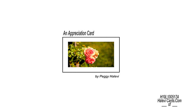 Law of Attraction Card - Image 2