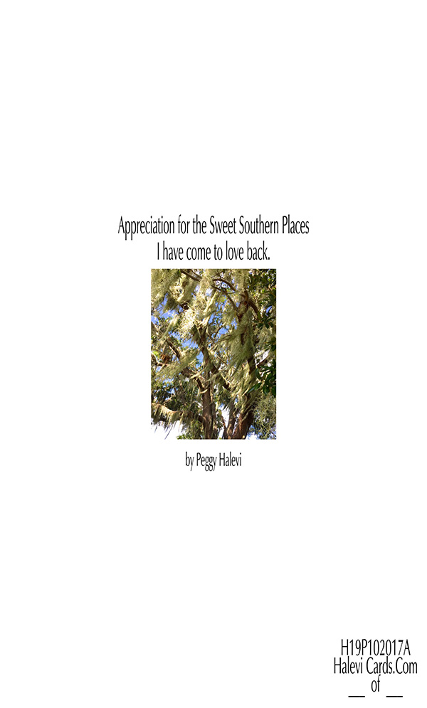 Law of Attraction Card - Image 2