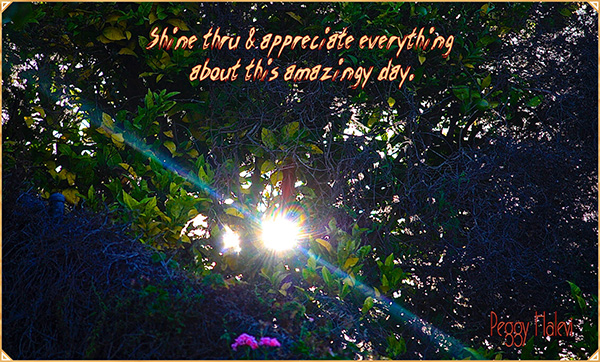 Law of Attraction Card - Image 2
