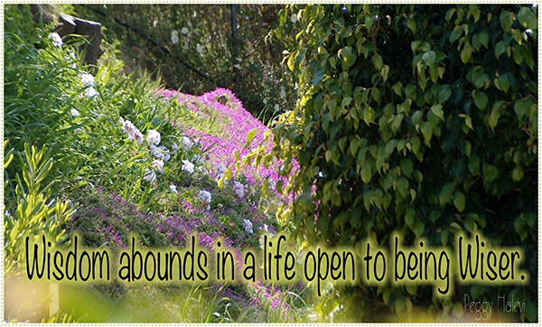 Law of Attraction Card - Image 2