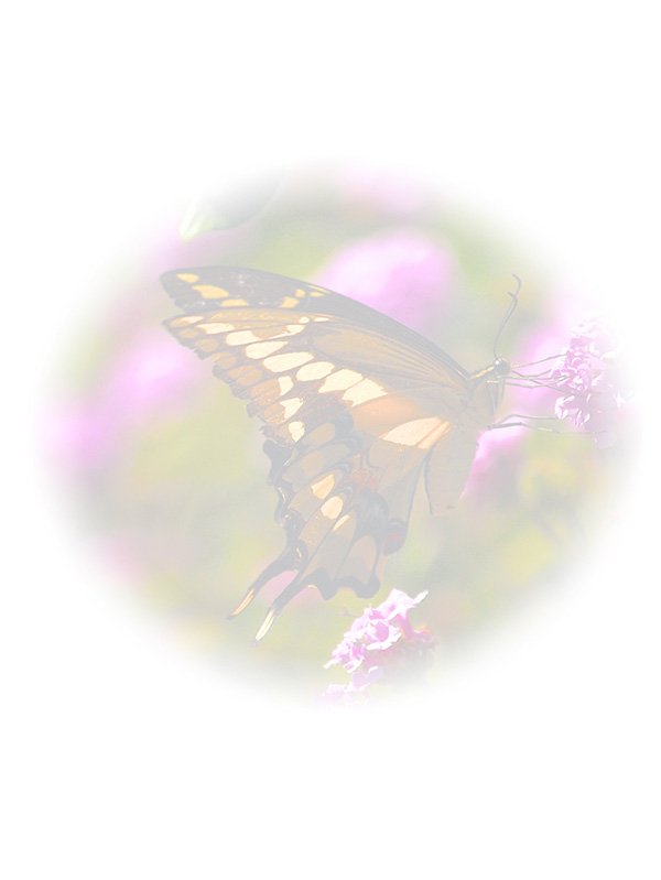 Law of Attraction Card - Image 3
