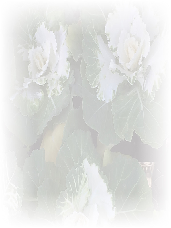 Law of Attraction Card - Image 3