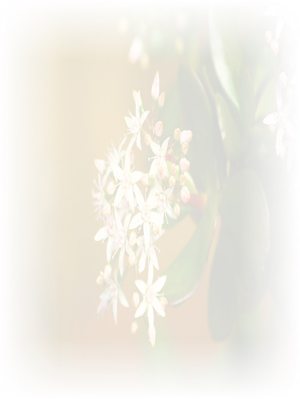 Law of Attraction Card - Image 3