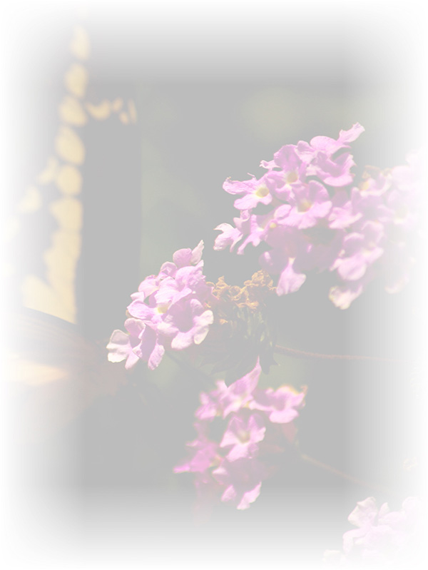 Law of Attraction Card - Image 3