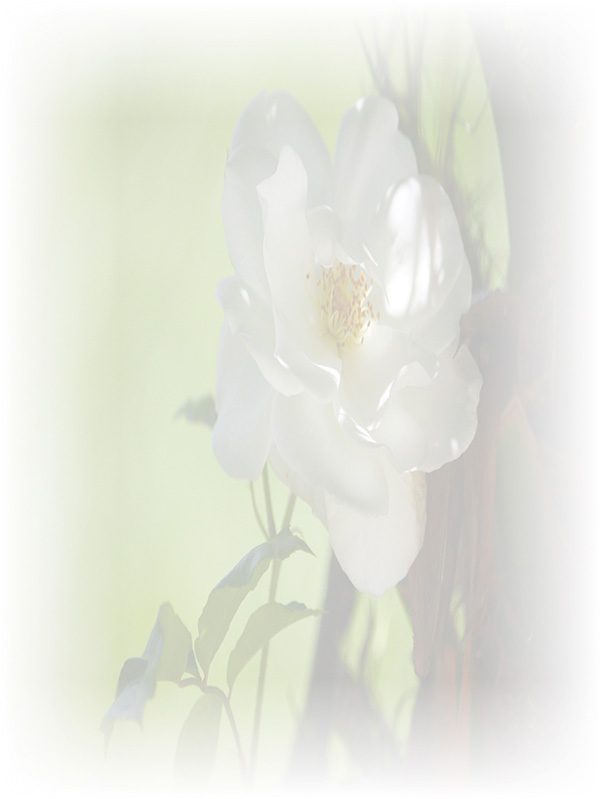 Law of Attraction Card - Image 3