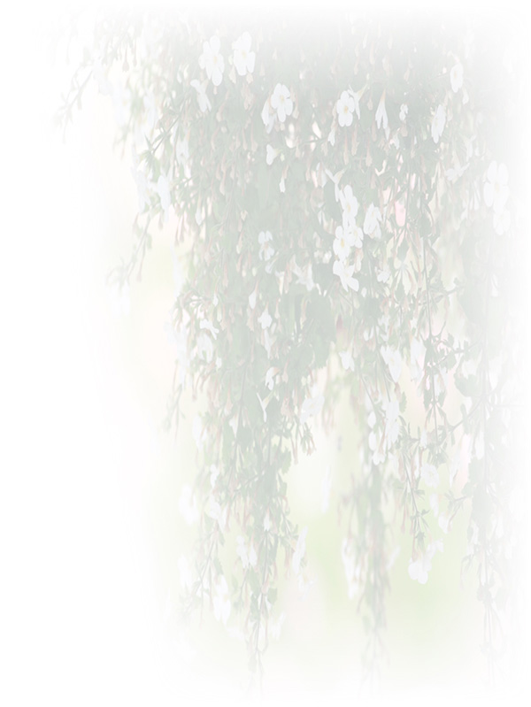 Law of Attraction Card - Image 3