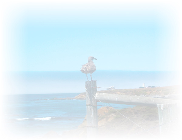 Law of Attraction Card - Image 3