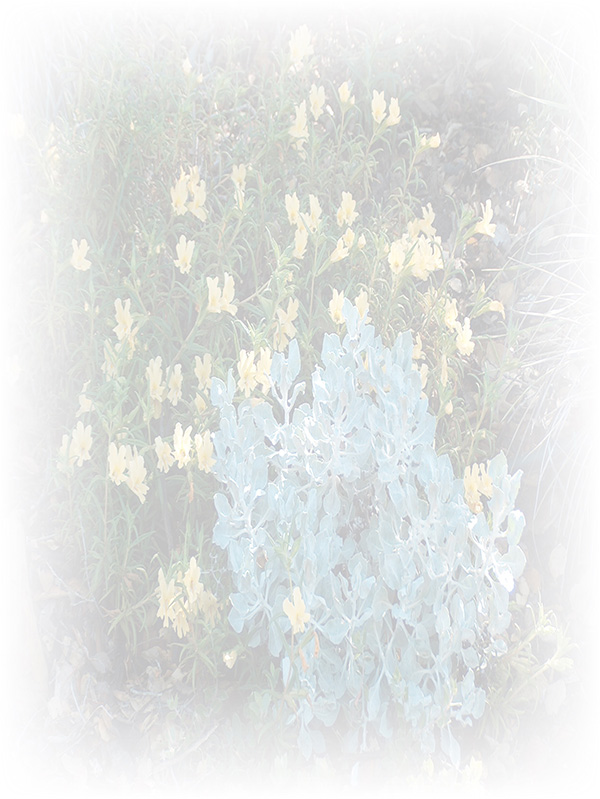 Law of Attraction Card - Image 3