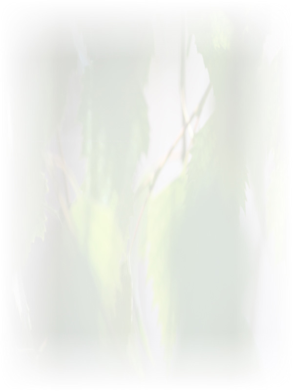 Law of Attraction Card - Image 3