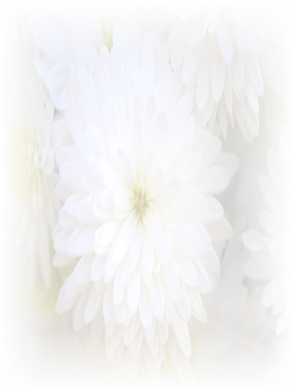 Law of Attraction Card - Image 3