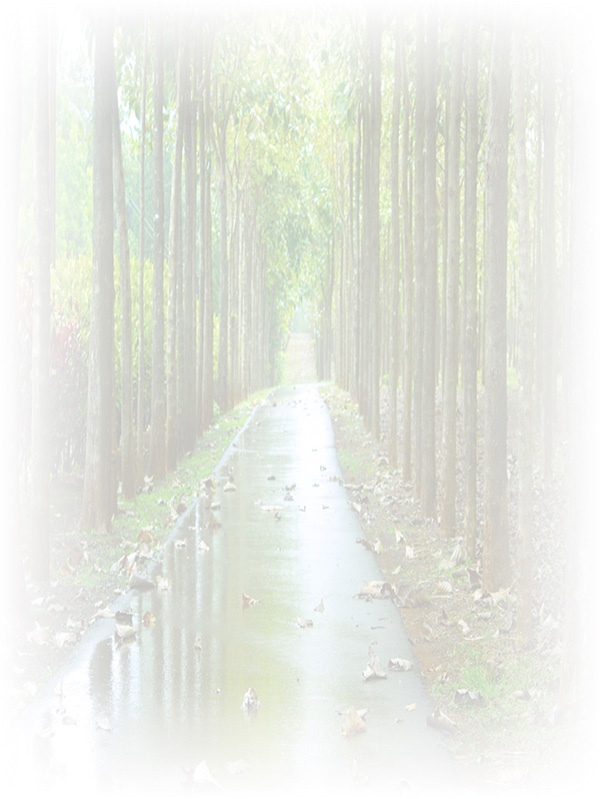 Law of Attraction Card - Image 3