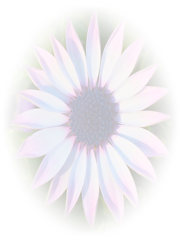 Law of Attraction Card - Image 3