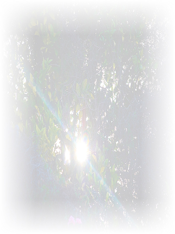 Law of Attraction Card - Image 3