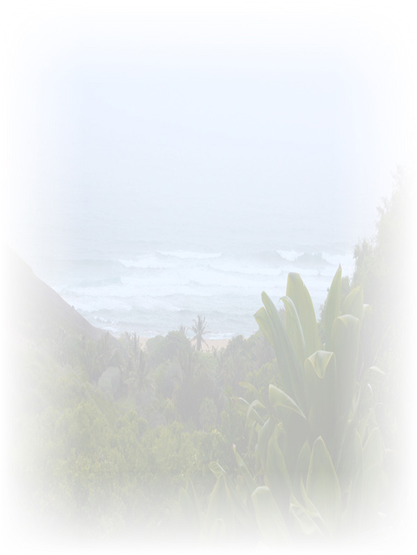 Law of Attraction Card - Image 3