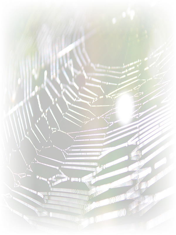 Law of Attraction Card - Image 3