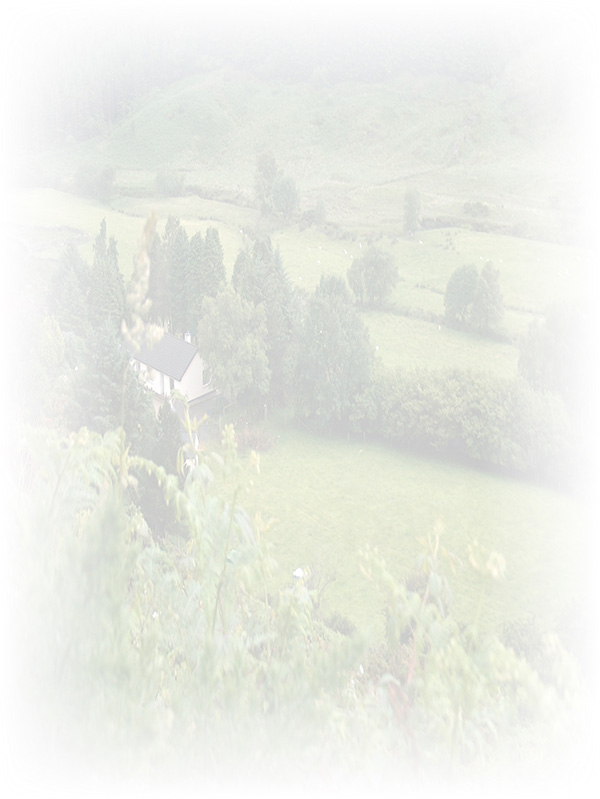 Law of Attraction Card - Image 3