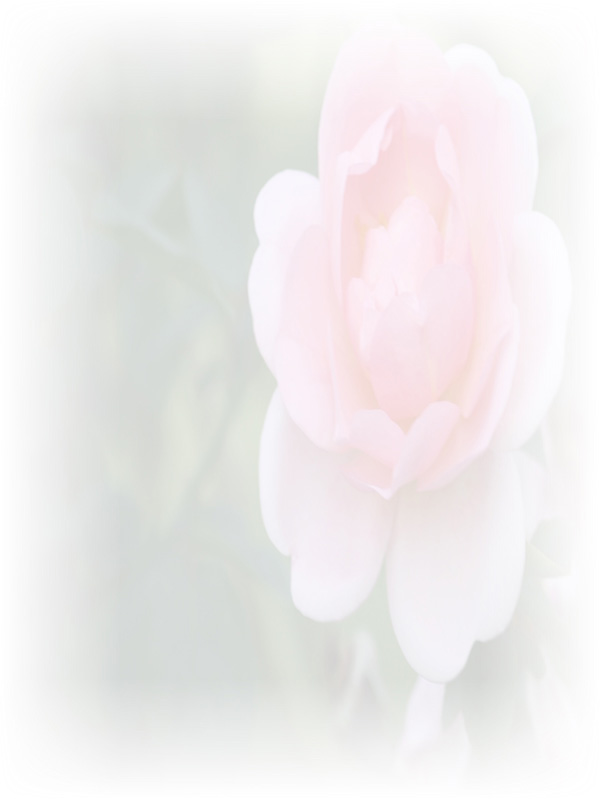 Law of Attraction Card - Image 3
