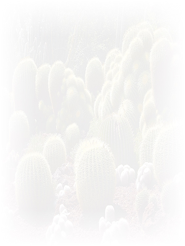 Law of Attraction Card - Image 3