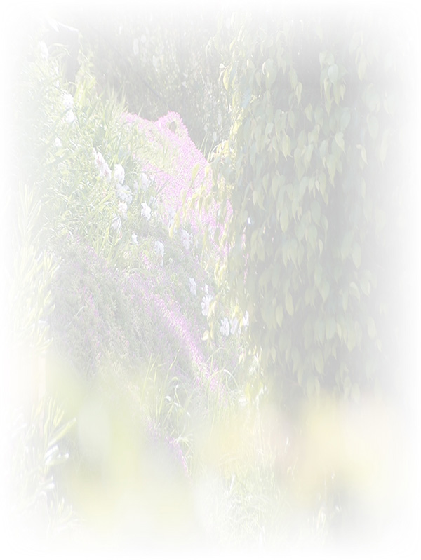 Law of Attraction Card - Image 3