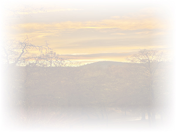 Law of Attraction Card - Image 3
