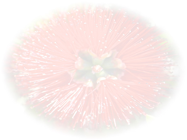 Law of Attraction Card - Image 3
