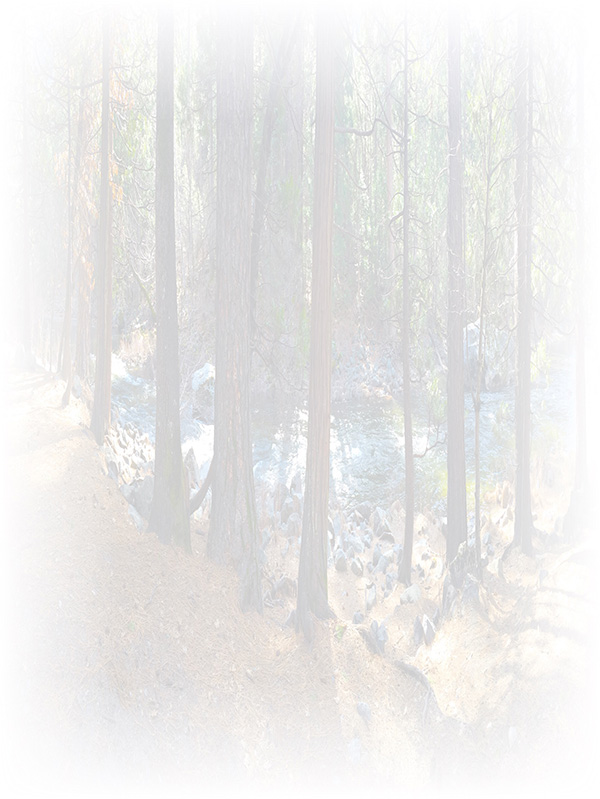 Law of Attraction Card - Image 3