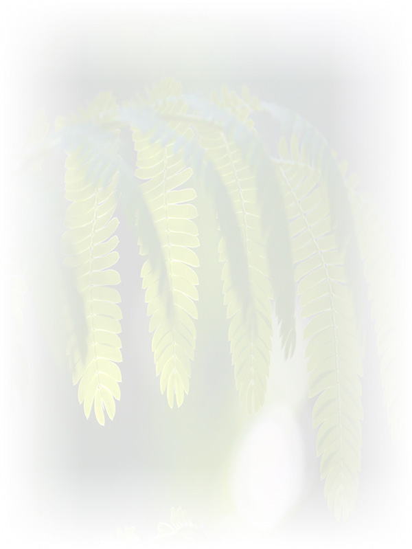Law of Attraction Card - Image 3