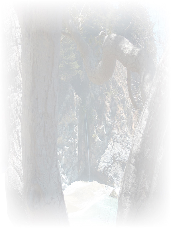 Law of Attraction Card - Image 3